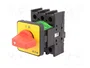 EATON ELECTRIC Interruptor de levas de emergencia 32A 15kW