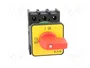 EATON ELECTRIC Interruptor de levas de emergencia 32A 15kW