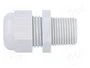 HELU Sello aislante HELUTOP HT-NPT NPT3/8 de poliamida
