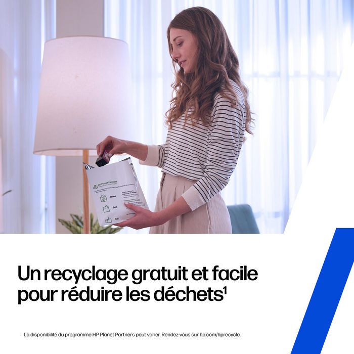 HP 300 Black Original Cartucho de Tinta Compatible con Impresoras Domésticas y Pequeñas Empresas, Alta Calidad, Duradero