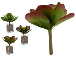 Ibergarden Planta Hojas Redonda Grande 3 Colores Surtidos 27x29x27 cm (Set de 12)