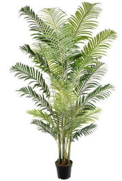 DKD Home Decor Planta Areca Verde PE 100x100x250 cm