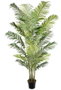 DKD Home Decor Planta Areca Verde PE 100x100x250 cm