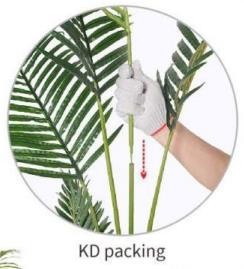 DKD Home Decor Planta Areca Verde PE 100x100x250 cm