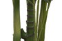 DKD Home Decor Planta Areca Verde PE 100x100x250 cm