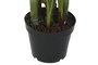 DKD Home Decor Planta Areca Verde PE 100x100x250 cm