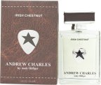 Andrew Hilfiger Irish Chestnut Eau de Toilette 100 ml Spray