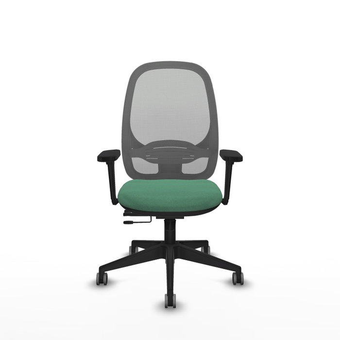 PIQUERAS Y CRESPO Silla de oficina Cilanco con mecanismo Sincro/Traslack, Verde esmeralda y Gris PIQUERAS Y CRESPO Silla de oficina Cilanco con mecanismo Sincro/Traslack, Verde esmeralda y Gris