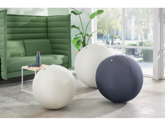 Leitz Balón de asiento antideslizante Ergo Active 65 cm Gris oscuro Leitz Balón de asiento antideslizante Ergo Active 65 cm Gris oscuro