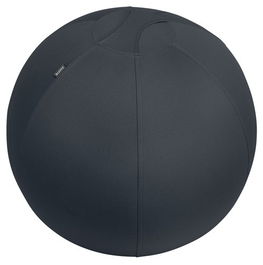 Silla De Balon Leitz Active Ergo Ø65Cm Antideslizante Gris Oscuro