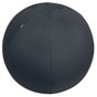Leitz Balón de asiento antideslizante Ergo Active 65 cm Gris oscuro
