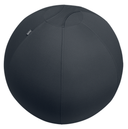 Leitz Ergo Active Sitzball 65cm Gris