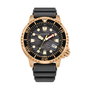 Reloj Hombre Citizen BN0163-00H (Ø 44 mm)