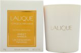 Lalique Les Compositions Parfumées Sweet Amber Vela Aromática