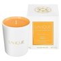Lalique Les Compositions Parfumées Sweet Amber Vela Aromática 190g