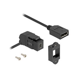 DeLOCK 67155 Módulo Keystone Mini DisplayPort hembra a DisplayPort hembra 45° con cable de 30 cm