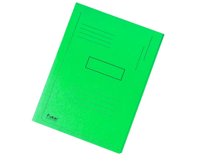 Exacompta Subcarpeta Cartulina Reciclada A4 Verde 280g/m2 con 2 Solapas