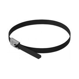 DeLOCK 18812 Bridas de acero inoxidable 500 x 4,6 mm Negro