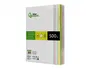 Liderpapel Papel Color A4 80gr 500 Hojas (5 Colores Surtidos) para Impresora Ink-jet, Laser y Fotocopiadoras