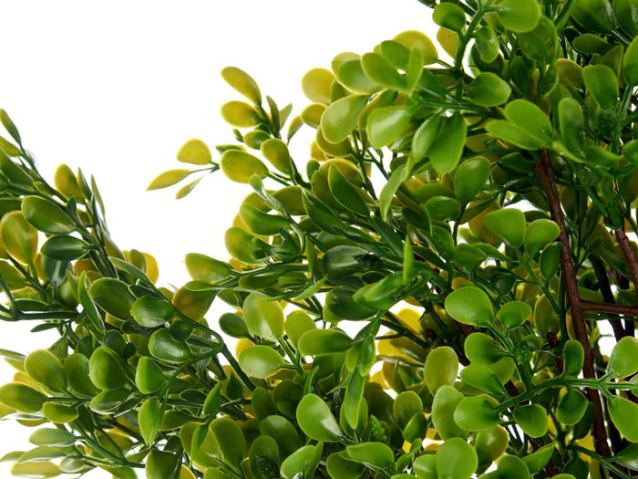 Ibergarden Arbol Helecho Verde Surtido 35x96x16 cm (Set de 3)