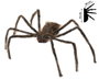 Araña decorativa gigante de pelo negro 75 cm con ojos rojos para Halloween