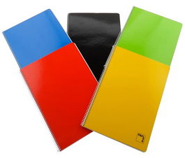 Bloc Pacsa Institut Tapa Dura Fº 100H Horizontal Col.Sur. (Set de 25)