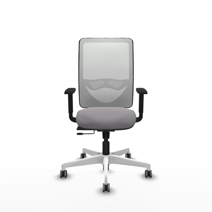 PIQUERAS Y CRESPO Silla de oficina Zulema con mecanismo Sincro/Traslack, Gris y Blanco PIQUERAS Y CRESPO Silla de oficina Zulema con mecanismo Sincro/Traslack, Gris y Blanco
