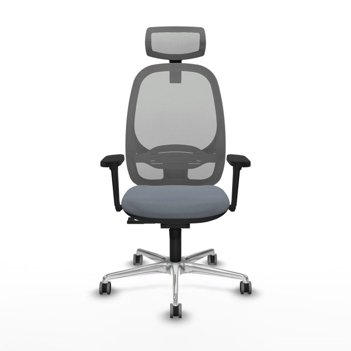 PIQUERAS Y CRESPO Silla de oficina Cilanco con mecanismo Sincro, Gris PIQUERAS Y CRESPO Silla de oficina Cilanco con mecanismo Sincro, Gris