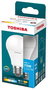 TOSHIBA Bombilla LED ESSENTIAL - A60, 10W E27, 6500K, Luz Fría Blanca