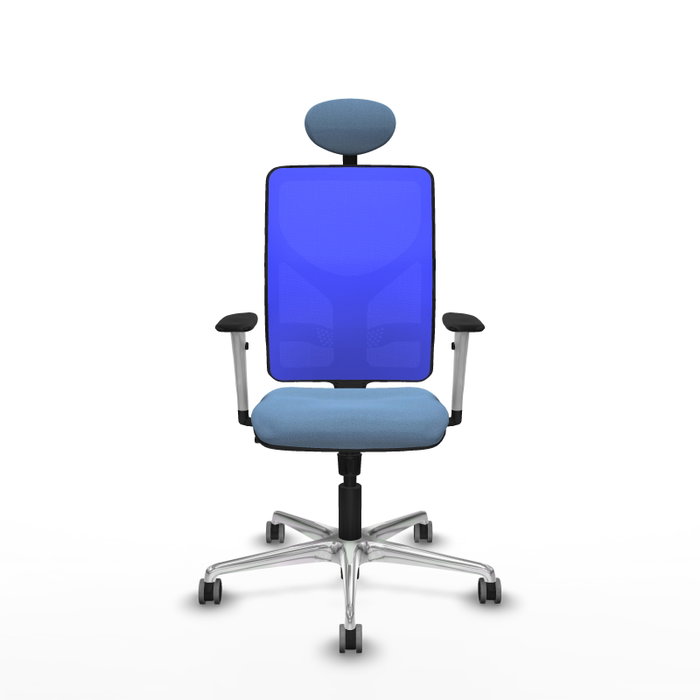 PIQUERAS Y CRESPO Silla de oficina Motilla con mecanismo Sincro, Azul PIQUERAS Y CRESPO Silla de oficina Motilla con mecanismo Sincro, Azul