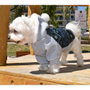 Nayeco Sudadera con Capucha Fusion para Perros 50 cm Gris con Estampado Azul Verde Cálida Adaptable