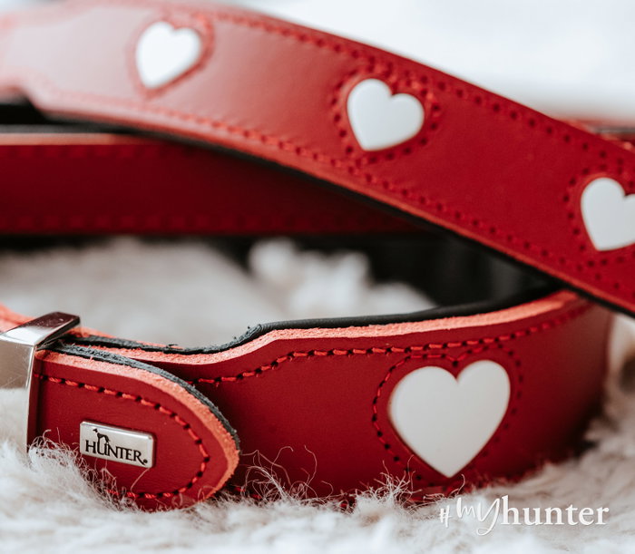 Hunter Collar Love M-L Cuello 47-54 cm Ancho 3.9 cm Rojo-Negro Cuero de Vaca Hunter Collar Love M-L Cuello 47-54 cm Ancho 3.9 cm Rojo-Negro Cuero de Vaca
