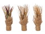Ibergarden Ramillete Saco Conos Envejecidos Surtidos 15x34x15 cm (Set de 6)
