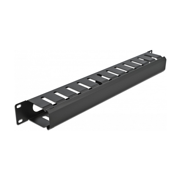DeLOCK Panel de gestión de cables 19 pulgadas con 2 aberturas, 1U, Negro DeLOCK Panel de gestión de cables 19 pulgadas con 2 aberturas, 1U, Negro
