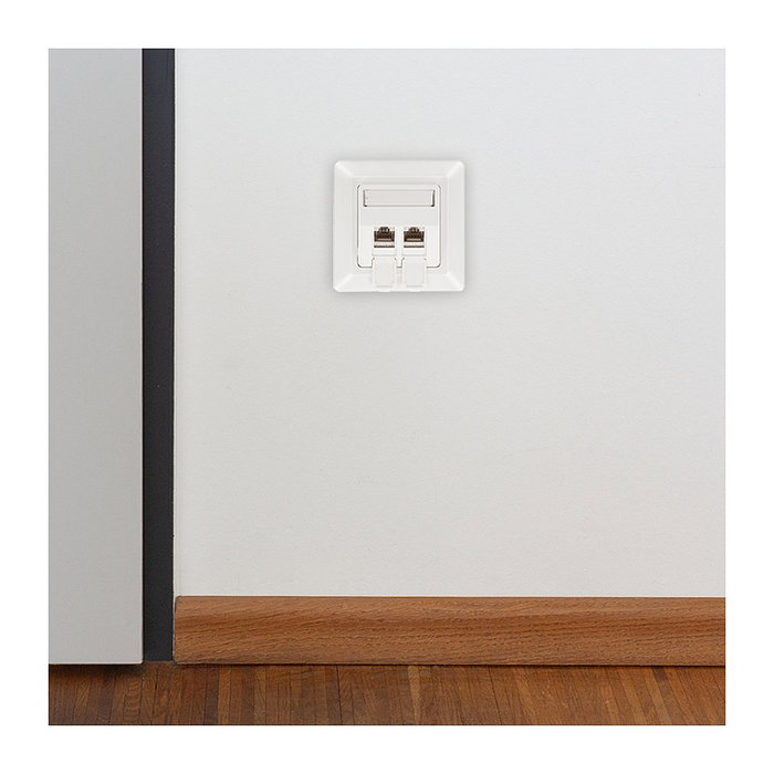 LogiLink Placa de pared Keystone para 2 módulos, proyectada, UP/50, blanco puro