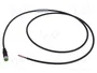 MURRELEKTRONIK Cable para sensores M8 hembra recto 1m 3 pines