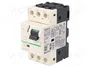 SCHNEIDER ELECTRIC Interruptor motorizado GV2RT06 0,37/0,55kW 230÷690VAC
