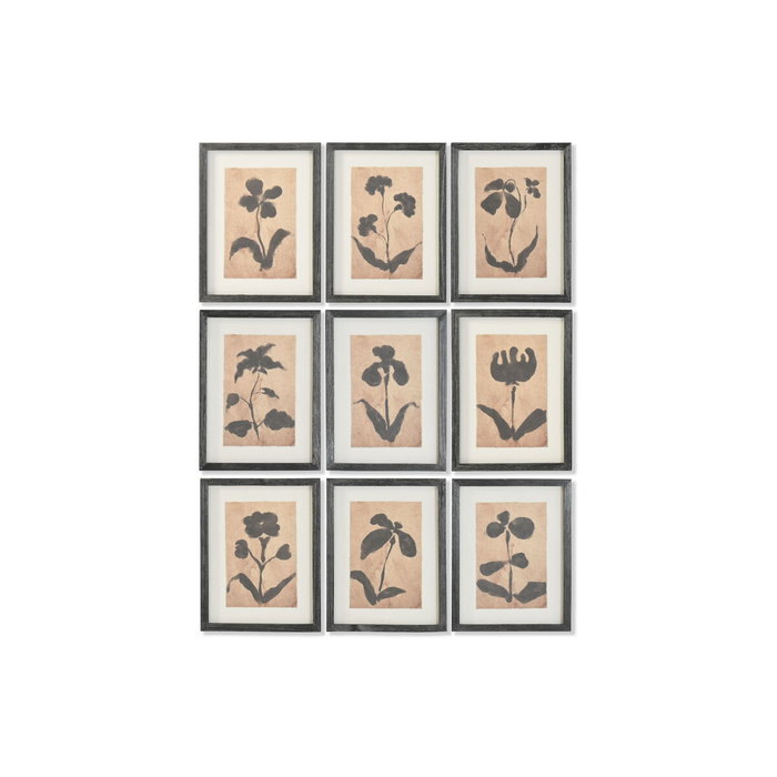 DKD Home Decor Cuadro Abeto Cristal Botánico Set de 9 Unidades DKD Home Decor Cuadro Abeto Cristal Botánico Set de 9 Unidades