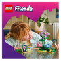 LEGO Friends Tazas Locas: Flores y Hadas 42702