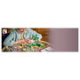 LEGO Friends Tazas Locas: Flores y Hadas 42702