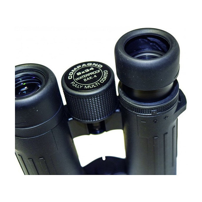 Braun Compagno 10x34 WP Prismáticos BaK-4 FMC 10x34mm Waterproof Uso General