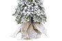 DKD Home Decor Árbol de Navidad Tradicional Verde Marrón Con LED 50 cm Alto, Base 20x20 cm, Pack 2 Unidades Pilas AA
