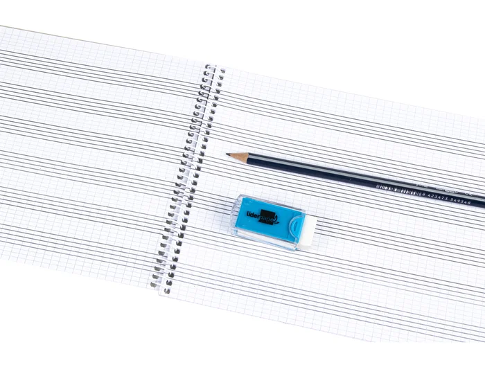 Liderpapel Bloc música combi pentagrama cuadriculado 2,5mm cuarto 20 hojas 100g/m2