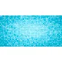 BSI Flotador Dosificador para Piscinas BSI5425001716579 - Flotador Grande para Tabletas de 200g - Piscinas Medianas y Grandes con Difusión Lenta