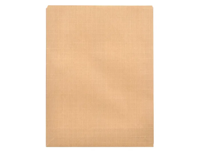 Liderpapel Bolsa Kraft Folio Especial n.12 260x360mm Tira Silicona Caja 250 Unidades