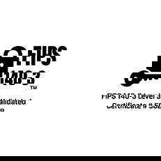 Kingston IronKey D500S 256GB USB 3.2 Gen 1 Lápiz de Memoria Cifrado Hardware AES-256 FIPS 140-3 Nivel 3 IP67 Resistente al Agua