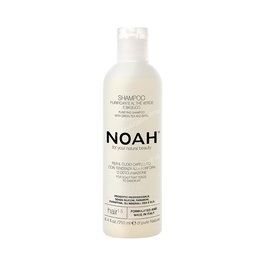 NOAH Champú Purificante con Té Verde y Albahaca - 250 ml - Para Cuero Cabelludo con Caspa y Picor - Sin Siliconas, Parabenos, SLS