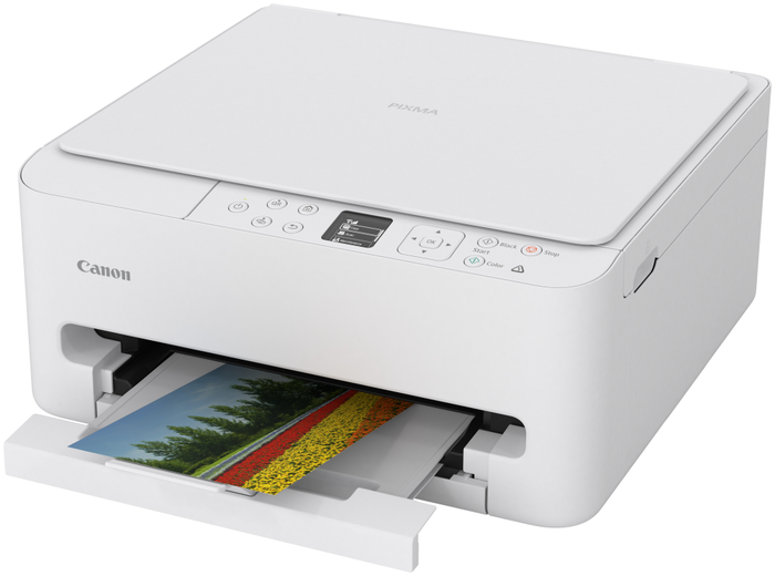 Canon PIXMA TS6550i Blanco