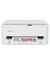 Canon PIXMA TS6550i Blanco