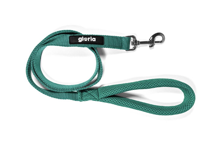 Correa Air Mesh Trek Star 1.5 X 120 cm Turquesa (Set de 25)